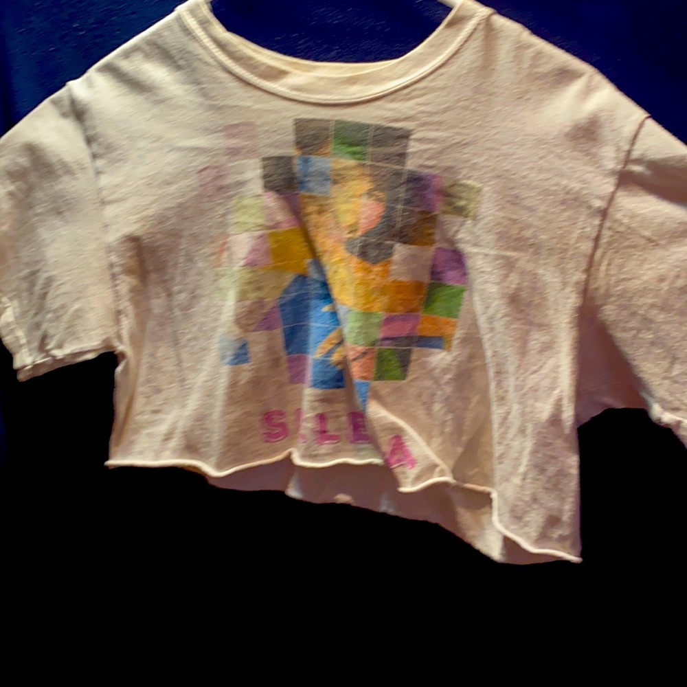 a selena crop top